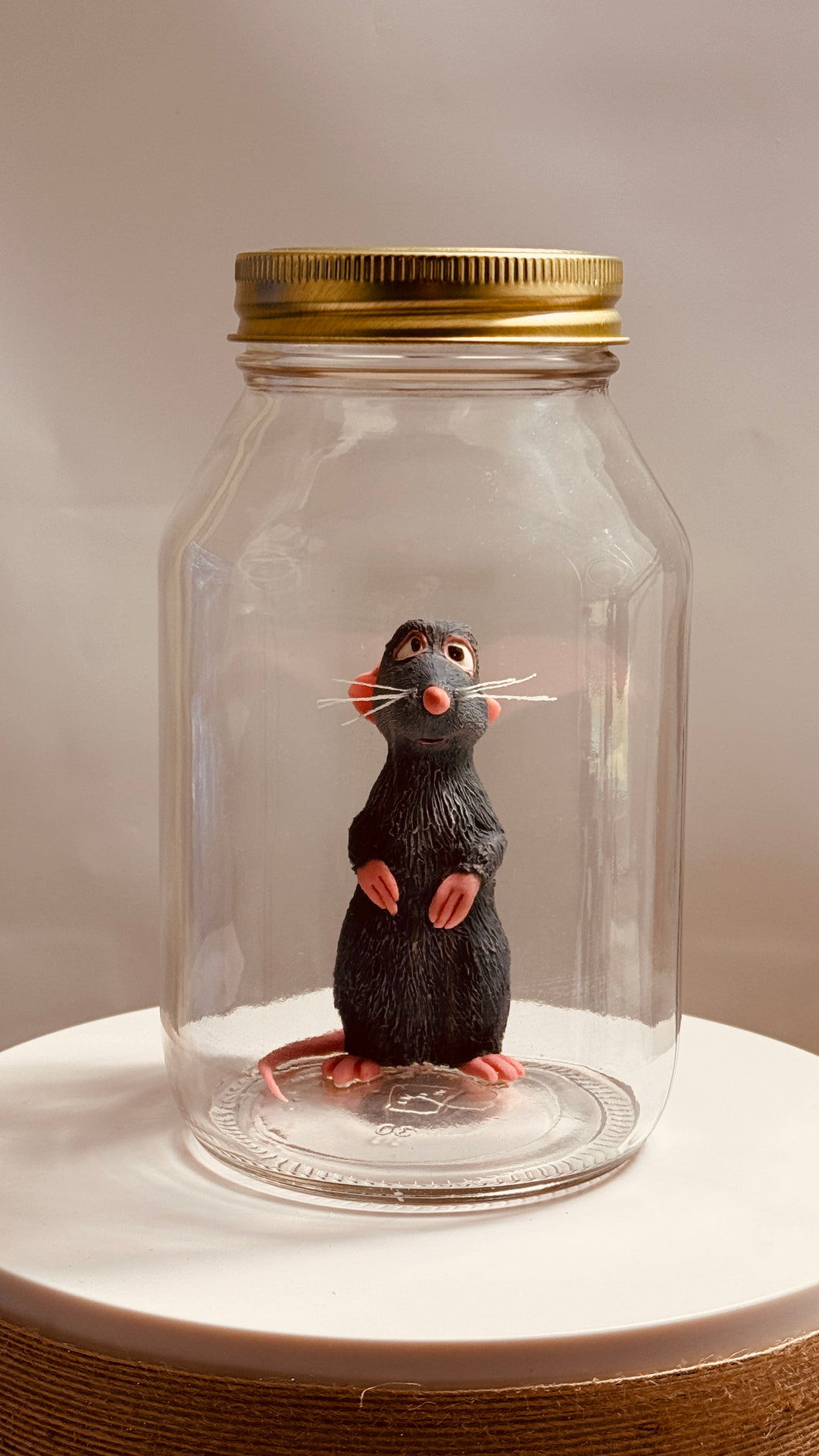 Ratatouille Remy In a Glass Mason Jar