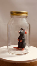 Load image into Gallery viewer, Ratatouille Remy In a Glass Mason Jar
