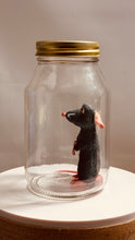 Load image into Gallery viewer, Ratatouille Remy In a Glass Mason Jar
