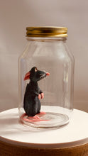 Load image into Gallery viewer, Ratatouille Remy In a Glass Mason Jar
