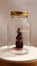 Load image into Gallery viewer, Ratatouille Remy In a Glass Mason Jar
