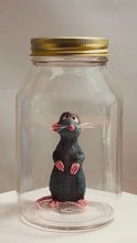 Load and play video in Gallery viewer, Ratatouille Remy In a Glass Mason Jar
